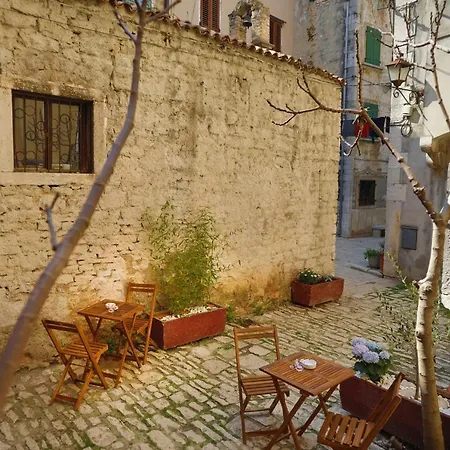 公寓 Centar Old Town 罗维尼